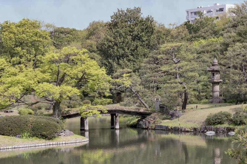La novia japonesa de madera de Dentsuru del puente en la charca de Rikugie fotos de archivo libres de regalías La novia japonesa de madera de Dentsuru del puente en la charca de Rikugie fotos de archivo libres de regalías