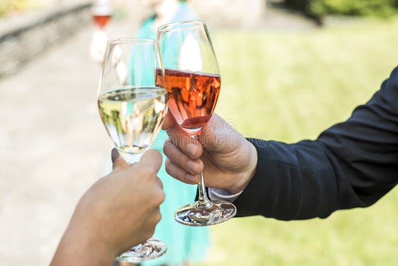 La novia y el novio que celebran maravillosamente casarse los vidrios con el vino espumoso del chamán tuestan foto de archivo libre de regalías La novia y el novio que celebran maravillosamente casarse los vidrios con el vino espumoso del chamán tuestan foto de archivo libre de regalías