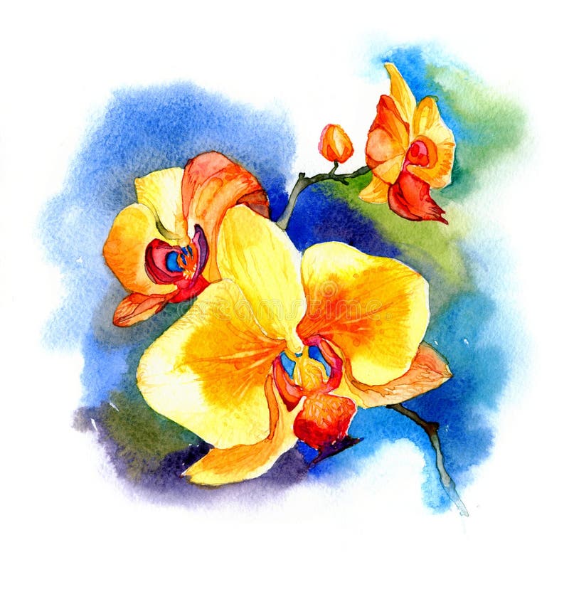 My Image 29