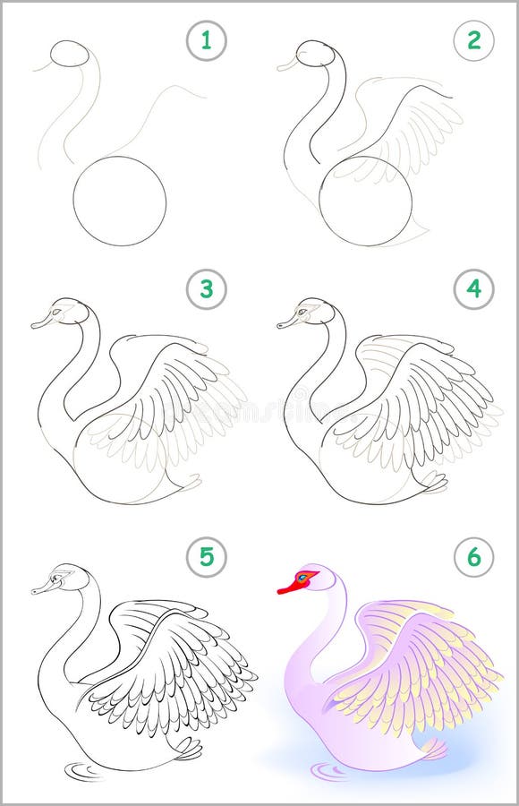 La Página Muestra Cómo Aprender Paso a Paso Dibujar Un Cisne Lindo  Habilidades De Los Niños Que Se Convierten Para Dibujar Y Colo Ilustración  del Vector - Ilustración de adulto, juego: 119279083