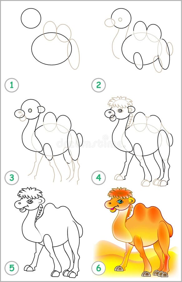 La Página Muestra Cómo Aprender Paso a Paso Dibujar Un Camello Ilustración del Vector - Ilustración de gradualmente, camello: 74350864 La Página Muestra Cómo Aprender Paso a Paso Dibujar Un Camello Ilustración del Vector - Ilustración de gradualmente, camello: 74350864