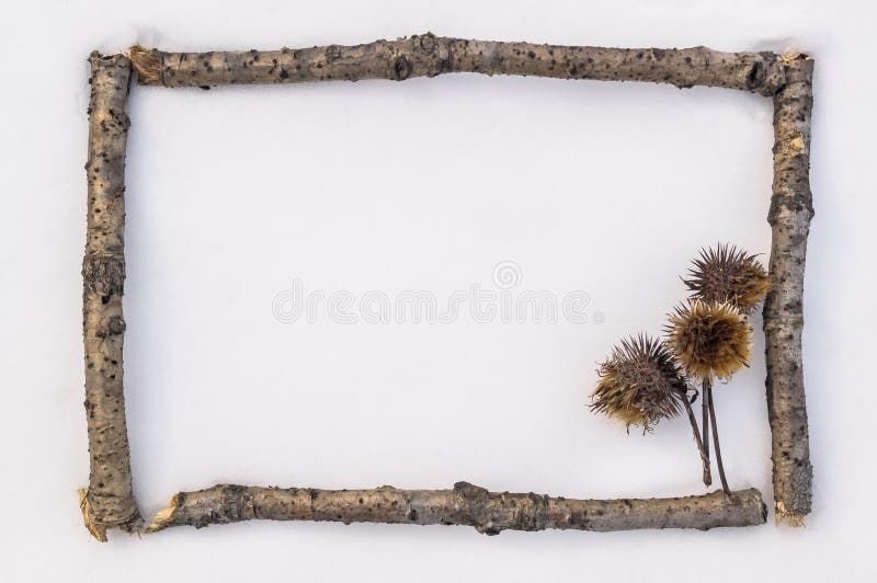 La pagina della cartolina d'auguri della foresta si ramifica nella neve Disposizione per il testo di messaggio e gli oggetti di a immagine stock La pagina della cartolina d'auguri della foresta si ramifica nella neve Disposizione per il testo di messaggio e gli oggetti di a immagine stock