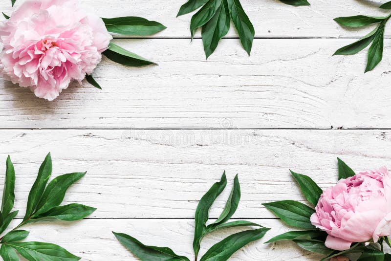 La pagina fatta della peonia rosa fiorisce sopra la tavola di legno bianca con lo spazio della copia Invito di cerimonia nuziale fotografia stock La pagina fatta della peonia rosa fiorisce sopra la tavola di legno bianca con lo spazio della copia Invito di cerimonia nuziale fotografia stock