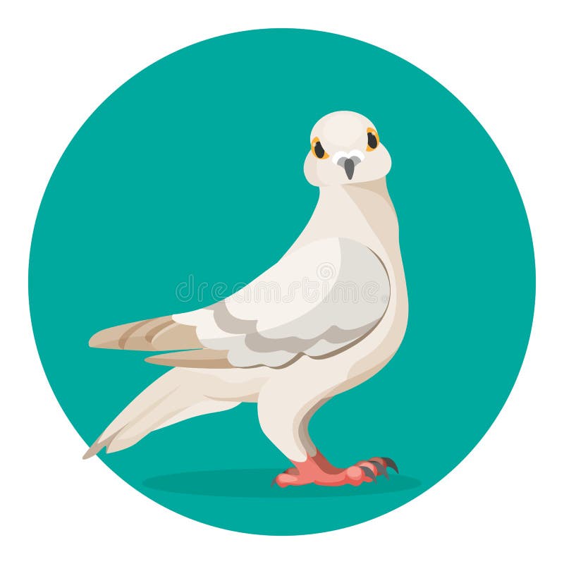 La paloma gris se coloca en el ejemplo de tierra del vector del pájaro popular libre illustration La paloma gris se coloca en el ejemplo de tierra del vector del pájaro popular libre illustration