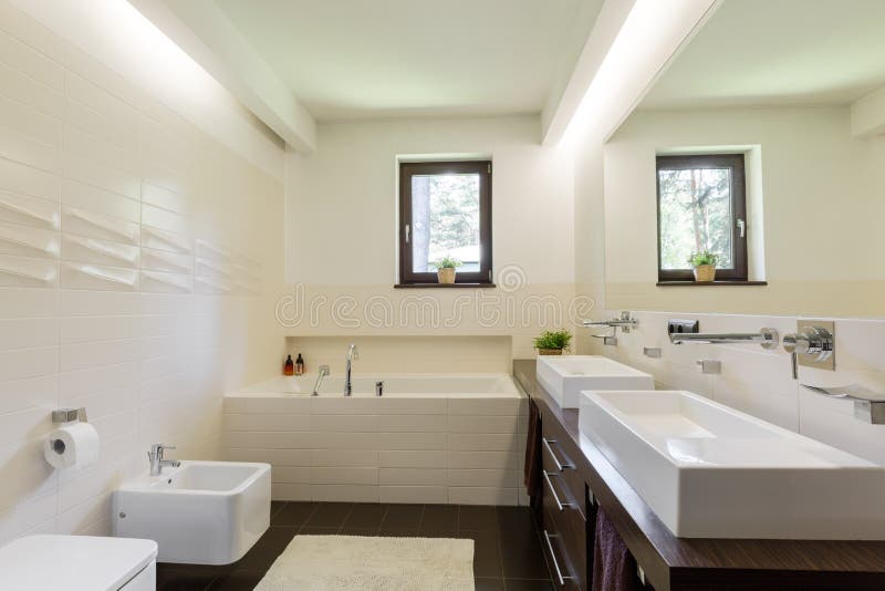 La pared inusual teja el adición del carácter al bathroom& x27; interior de s imagen de archivo libre de regalías La pared inusual teja el adición del carácter al bathroom& x27; interior de s imagen de archivo libre de regalías