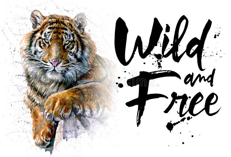 La peinture d'aquarelle de tigre, le prédateur d'animaux, la conception du T-shirt, sauvages et libèrent, impriment, le chasseur