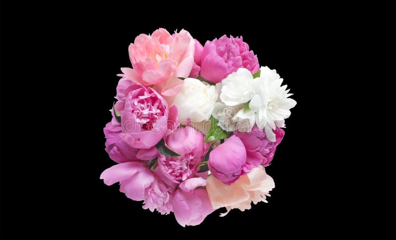 La peonía del ramo florece rosa y rojo aislada en fondo negro foto de archivo libre de regalías La peonía del ramo florece rosa y rojo aislada en fondo negro foto de archivo libre de regalías