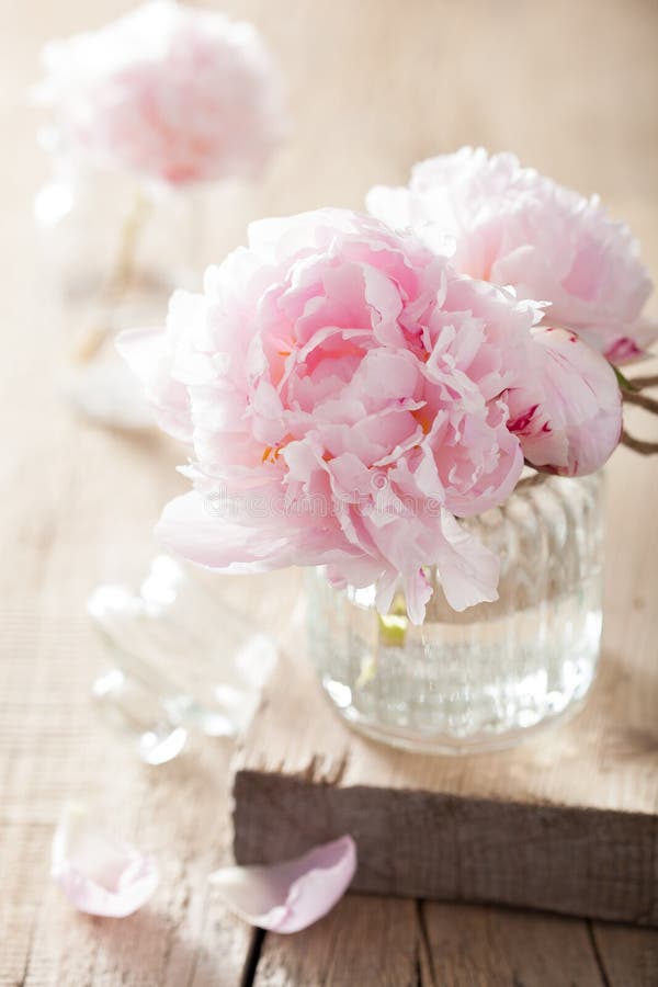 La peonía rosada hermosa florece el ramo en florero fotografía de archivo libre de regalías La peonía rosada hermosa florece el ramo en florero fotografía de archivo libre de regalías