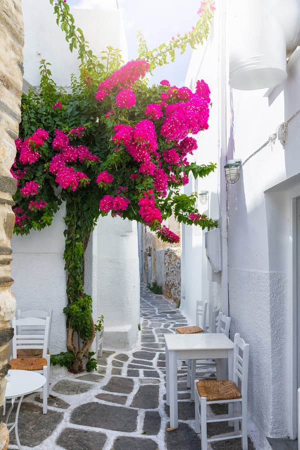 La petite allée avec la bouganvillée colorée fleurit dans le petit village de Naousa sur Paros photographie stock La petite allée avec la bouganvillée colorée fleurit dans le petit village de Naousa sur Paros photographie stock