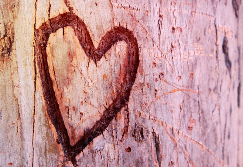 La photo du vieux tronc d'arbre avec le coeur a découpé là-dessus Valentine& x27 ; concept de jour de s fond romantique image stock La photo du vieux tronc d'arbre avec le coeur a découpé là-dessus Valentine& x27 ; concept de jour de s fond romantique image stock