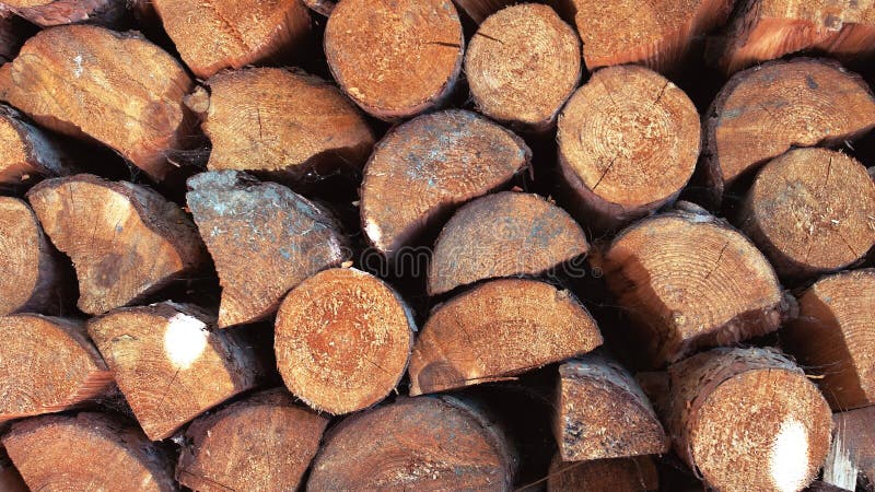 La pila de madera registra el movimiento de la toma panorámica en Sunny Day