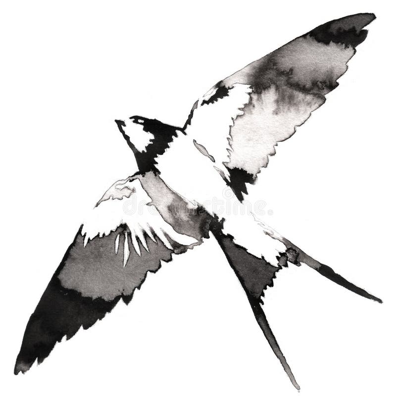 La pintura monocromática blanco y negro con drenaje del agua y de la tinta traga el ejemplo del pájaro stock de ilustración