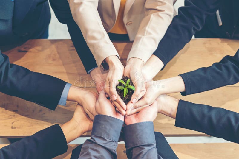 La plantula di Team Work Cupping di affari delle mani consolida ambientale e riduce la terra di riscaldamento globale La plantula di Team Work Cupping di affari delle mani consolida ambientale e riduce la terra di riscaldamento globale