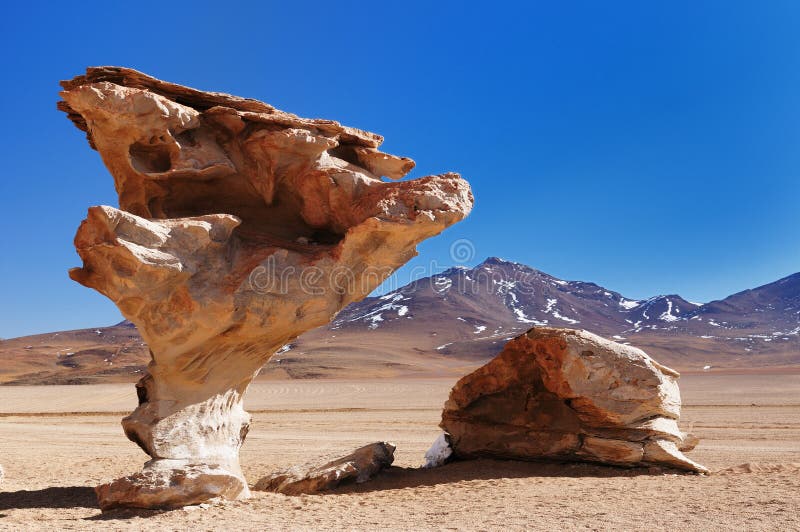 Bolivia - the most beautifull Andes in South America. The surreal landscape is nearly treeless, punctuated by gentle hills and volcanoes near Chilean border. The picture present Stone Tree formation. Bolivia - the most beautifull Andes in South America. The surreal landscape is nearly treeless, punctuated by gentle hills and volcanoes near Chilean border. The picture present Stone Tree formation