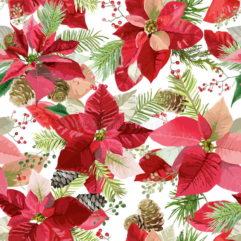 La poinsettia d'hiver de Noël fleurit le fond sans couture, copie florale de modèle illustration stock