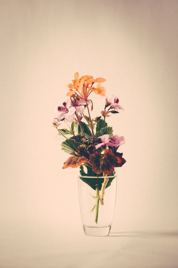 La primavera fiorisce il retro stile del mazzo fotografia stock La primavera fiorisce il retro stile del mazzo fotografia stock