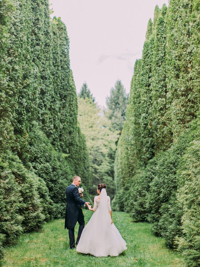 La promenade des couples heureux de nouveaux mariés le long du jardin avec de hauts buissons Vue arrière photographie stock