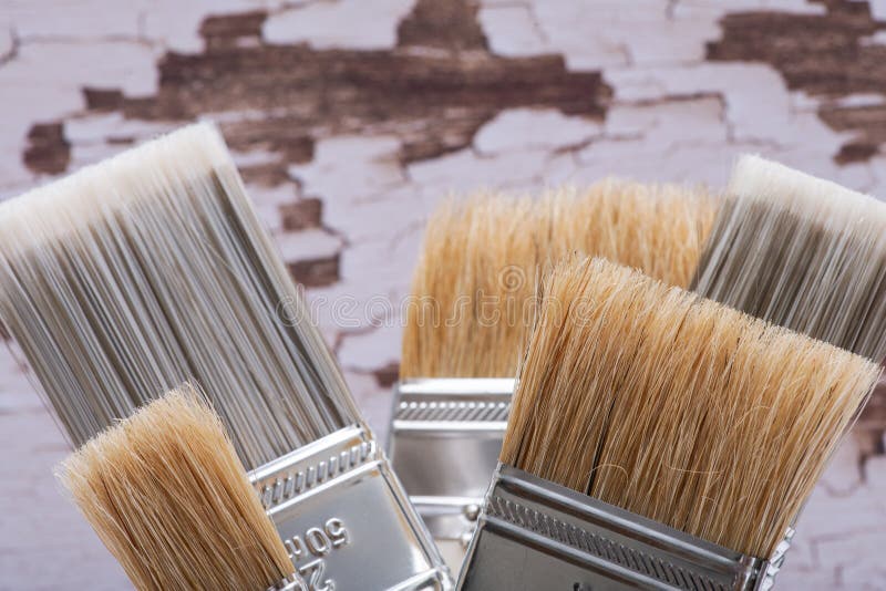 La puce et l'appartement plats ont coup? les pinceaux de service sur le bois image stock La puce et l'appartement plats ont coup? les pinceaux de service sur le bois image stock