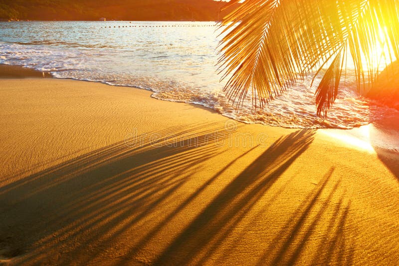 Beautiful sunset at Seychelles beach with palm tree shadow over sand. Beautiful sunset at Seychelles beach with palm tree shadow over sand