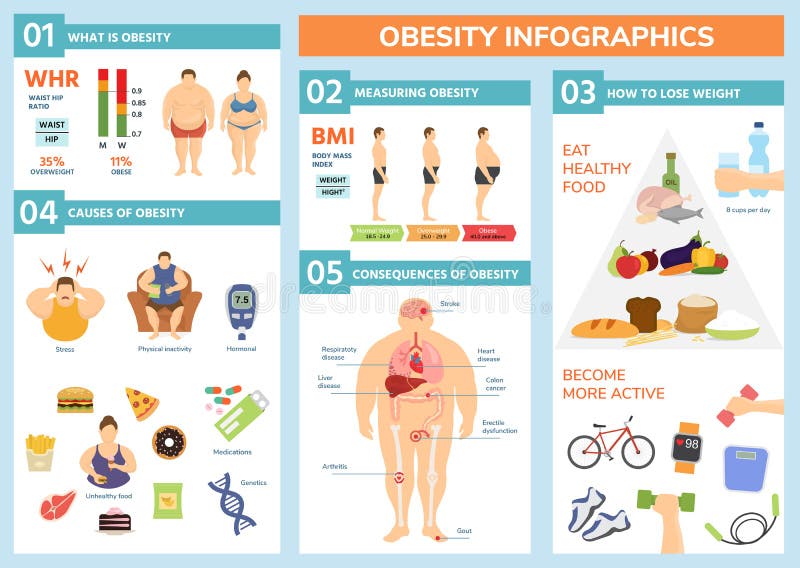 Obesity weight loss and fat people health problems infographic healthy elements exercise for good health with food vector illustration. Wellness body overweight concept. Obesity weight loss and fat people health problems infographic healthy elements exercise for good health with food vector illustration. Wellness body overweight concept.