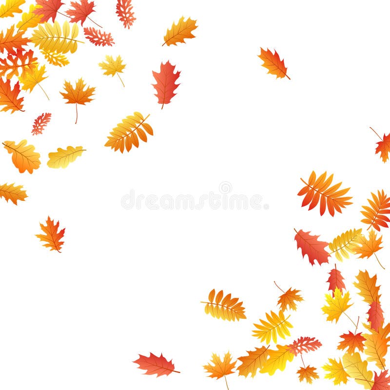 La quercia, acero, sorba selvaggia della cenere lascia il vettore, fogliame di autunno su fondo bianco illustrazione vettoriale La quercia, acero, sorba selvaggia della cenere lascia il vettore, fogliame di autunno su fondo bianco illustrazione vettoriale