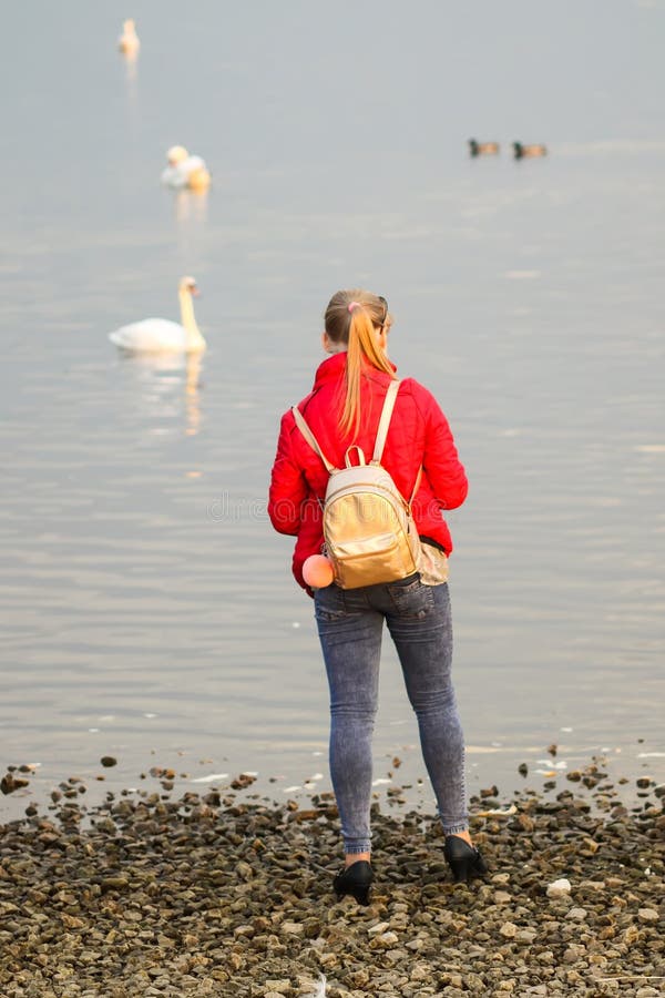 La ragazza bionda dell'adolescente che alimentano i cigni e le anatre sul fiume costeggiano alla molla fotografia stock La ragazza bionda dell'adolescente che alimentano i cigni e le anatre sul fiume costeggiano alla molla fotografia stock