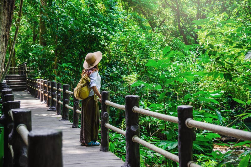 La ragazza che cammina sul ponte e si gode il turismo attraverso la foresta di mangrovie Waterfall rispetto a Bok Khorani Nature