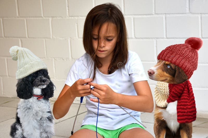 La ragazza dell'adolescente tricotta per i suoi cani La ragazza dell'adolescente tricotta per i suoi cani
