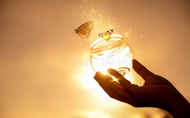 The girl frees the butterfly from  the jar, golden blue moment Concept of freedom. The girl frees the butterfly from  the jar, golden blue moment Concept of freedom