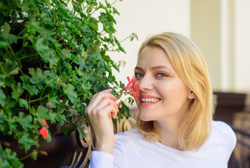 La ragazza si siede l'aroma dei fiori di annusata del caffè Il bello terrazzo attira i clienti Piante come decorazione naturale L immagine stock La ragazza si siede l'aroma dei fiori di annusata del caffè Il bello terrazzo attira i clienti Piante come decorazione naturale L immagine stock