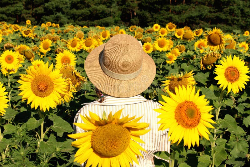 La ragazza in un cappello di paglia sta stando in un grande campo dei girasoli Giovani adulti Vista posteriore immagini stock libere da diritti La ragazza in un cappello di paglia sta stando in un grande campo dei girasoli Giovani adulti Vista posteriore immagini stock libere da diritti