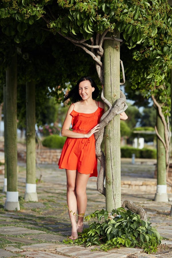 La ragazza in un vestito rosso sta vicino ad un bello albero Donna nel tramonto immagini stock La ragazza in un vestito rosso sta vicino ad un bello albero Donna nel tramonto immagini stock
