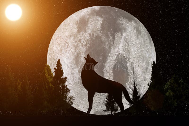 la rappresentazione 3D da un lupo di miagolio prima di grande luna con la lente si svasa