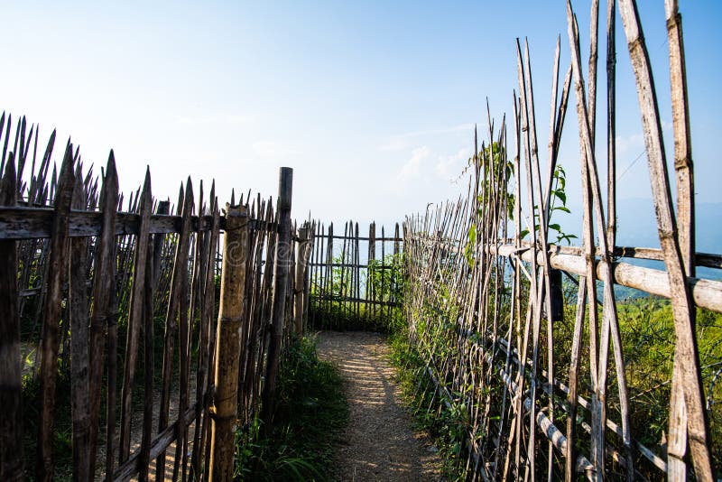 La recinzione di Bamboo alla base di Doi Chang Mub. La recinzione di Bamboo presso la base del Mub di Doi Chang, provincia di Chiang Rai