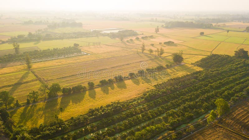La recuperación de suelo del campo con objeto del sembrador o del plantin imágenes de archivo libres de regalías La recuperación de suelo del campo con objeto del sembrador o del plantin imágenes de archivo libres de regalías