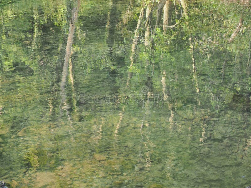 La riflessione degli alberi gradisce la pittura di Monet immagini stock libere da diritti La riflessione degli alberi gradisce la pittura di Monet immagini stock libere da diritti