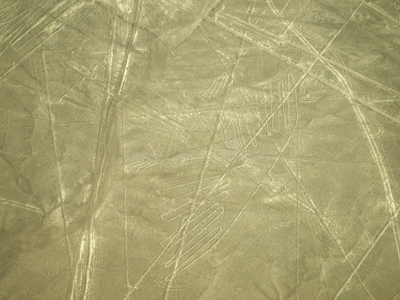 La riga del condor di righe di Nazca