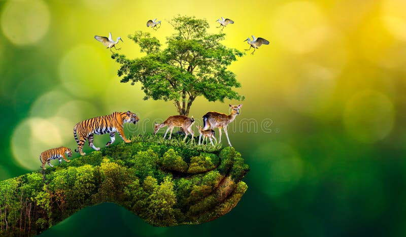 La riserva naturale di concetto conserva le mani umane dell'ecologia della pagnotta dell'alimento di riscaldamento globale dei ce immagini stock libere da diritti La riserva naturale di concetto conserva le mani umane dell'ecologia della pagnotta dell'alimento di riscaldamento globale dei ce immagini stock libere da diritti