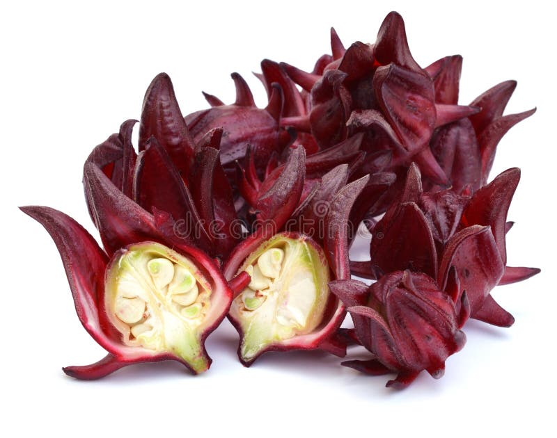 La rosella fruttifica uso della Tailandia per succo dolce locale fatto su bianco fotografia stock La rosella fruttifica uso della Tailandia per succo dolce locale fatto su bianco fotografia stock