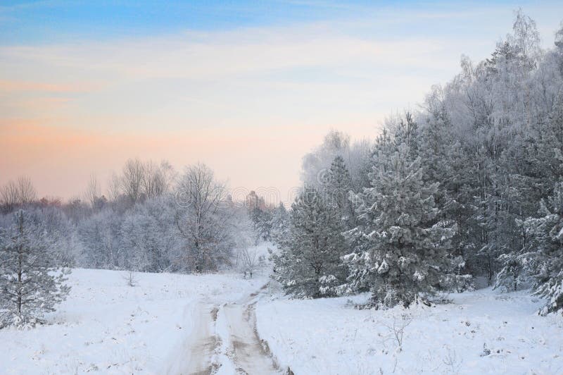 La route dans la forêt d'hiver images stock La route dans la forêt d'hiver images stock
