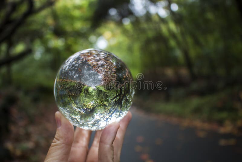 La rue rayée par arbre avec l'automne laisse le tir par la boule en verre images stock La rue rayée par arbre avec l'automne laisse le tir par la boule en verre images stock