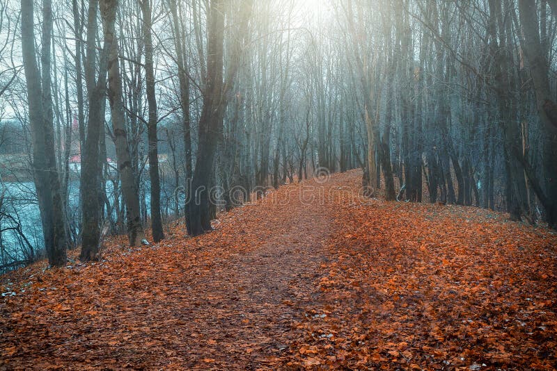 La ruelle tortueuse bruyante du parc d'automne photographie stock La ruelle tortueuse bruyante du parc d'automne photographie stock