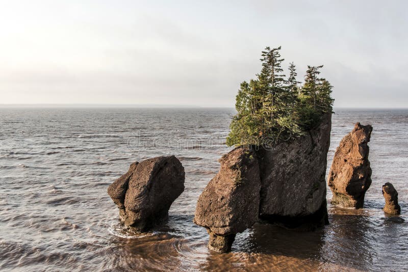 Canadá New Brunswick Costa Atlántica, Bahía de Fundy Río Chocolate