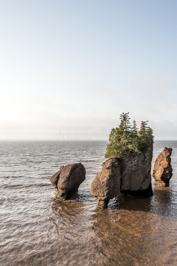 Playa De La Marea Baja En La Bahía De Fundy Nuevo Brunswick - El