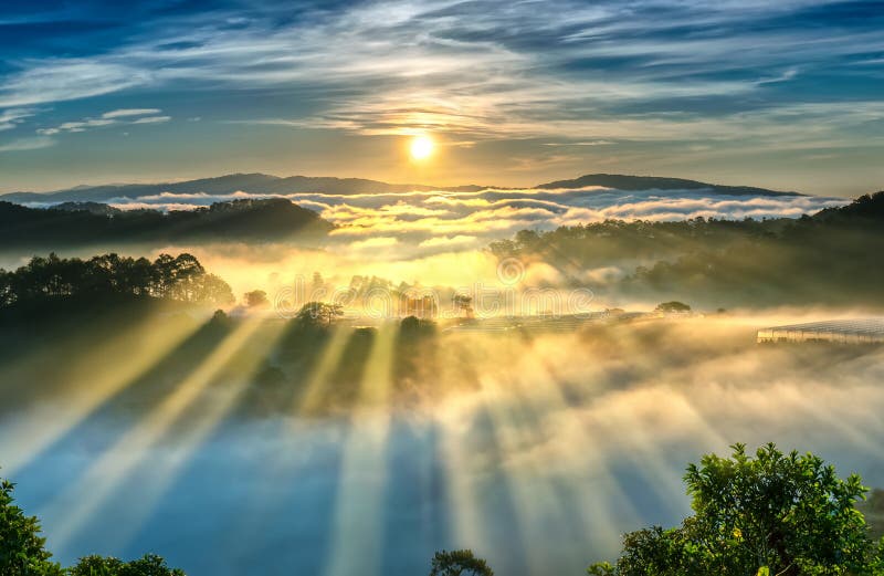 La Salida Del Sol Sobre La Ladera Un Bosque Del Pino Con Los Rayos