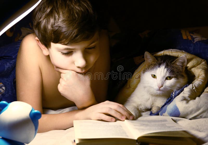 La sera del ragazzo ha letto il libro con il gatto immagini stock La sera del ragazzo ha letto il libro con il gatto immagini stock