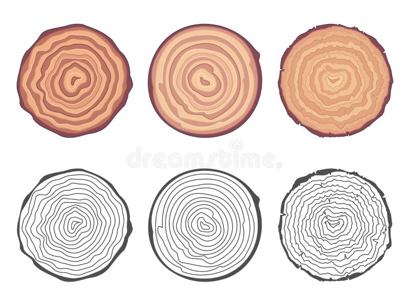 La sierra natural del fondo de los anillos de árbol cortó el ejemplo decorativo del vector del sistema de elementos del diseño de libre illustration La sierra natural del fondo de los anillos de árbol cortó el ejemplo decorativo del vector del sistema de elementos del diseño de libre illustration