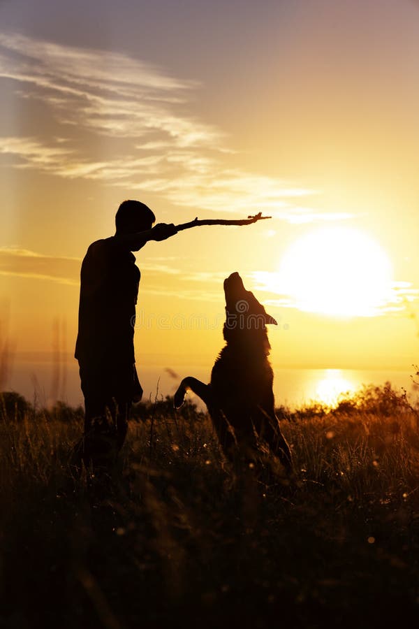 La silhouette d'un jeune homme jouant avec l'animal familier domestique dans un domaine au coucher du soleil, chien saute pour la image stock La silhouette d'un jeune homme jouant avec l'animal familier domestique dans un domaine au coucher du soleil, chien saute pour la image stock