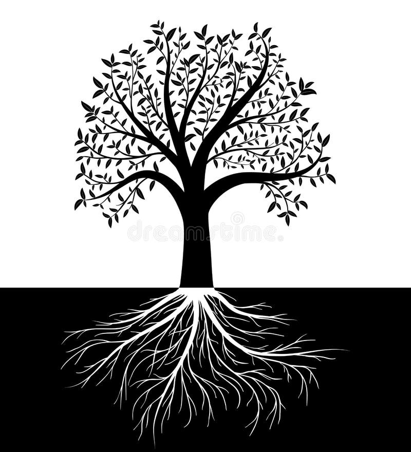 La siluetta dell'albero con le foglie e le radici vector il fondo illustrazione di stock La siluetta dell'albero con le foglie e le radici vector il fondo illustrazione di stock