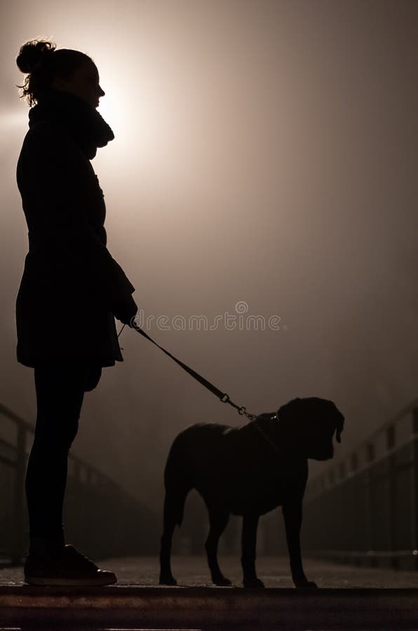 La siluetta di notte di una ragazza con il cane Vista laterale fotografia stock La siluetta di notte di una ragazza con il cane Vista laterale fotografia stock